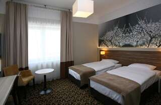 Отель Hotel Delfina Злоторя Улучшенный двухместный номер с 2 отдельными кроватями-3