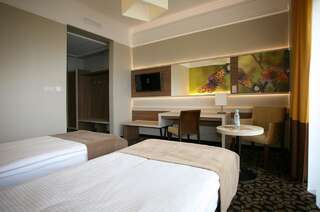 Отель Hotel Delfina Злоторя Улучшенный двухместный номер с 2 отдельными кроватями-6