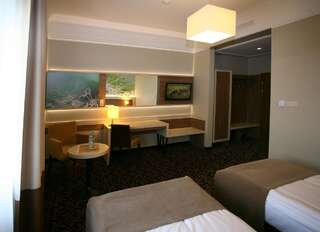 Отель Hotel Delfina Злоторя Улучшенный двухместный номер с 2 отдельными кроватями-7