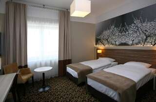 Отель Hotel Delfina Злоторя Улучшенный двухместный номер с 2 отдельными кроватями-12