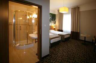 Отель Hotel Delfina Злоторя Улучшенный двухместный номер с 2 отдельными кроватями-16